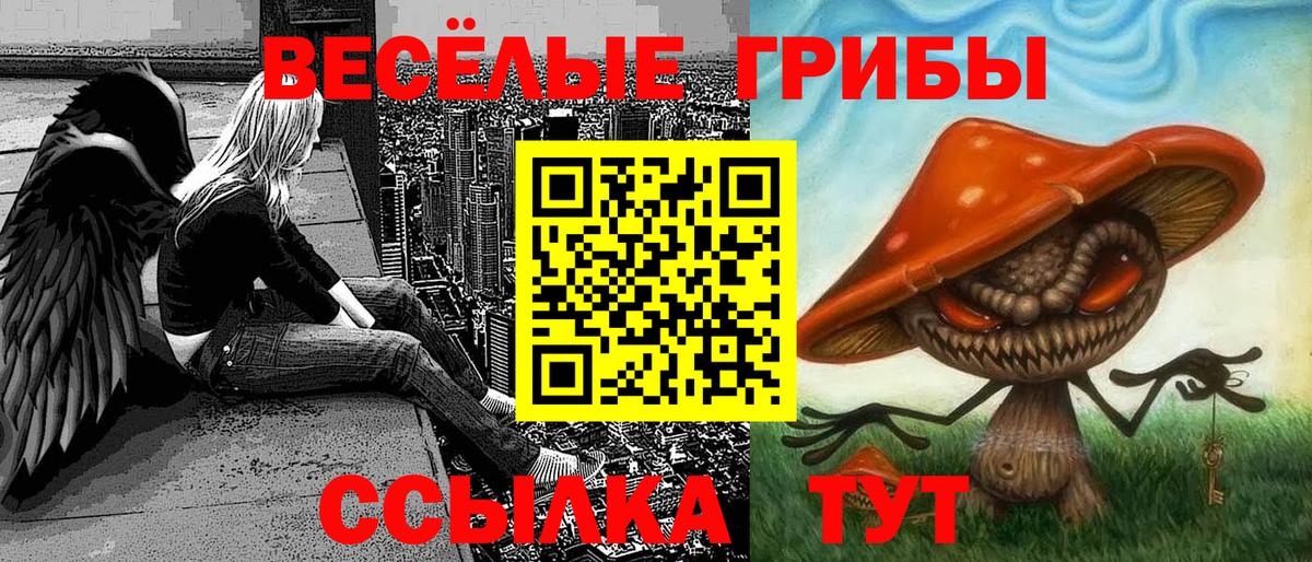 Галлюциногенные грибы Psilocybine cubensis  Вход с VPN  Родники 