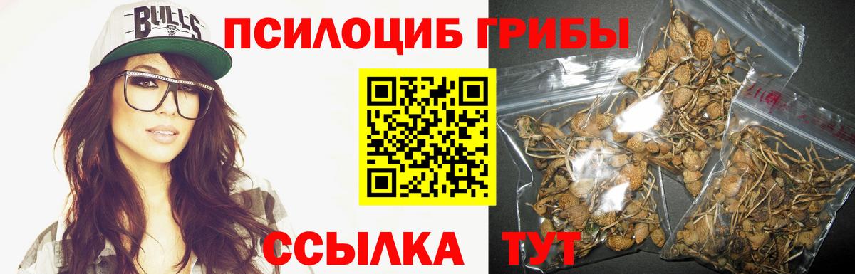 Галлюциногенные грибы MAGIC MUSHROOMS Родники
